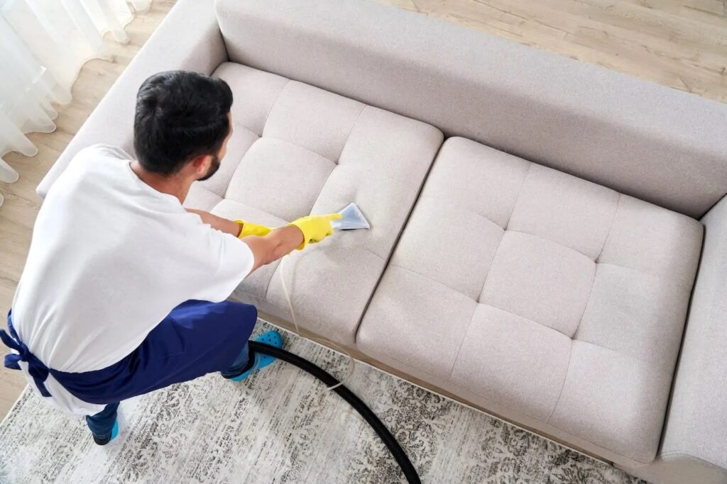 Cum Să Identifici Ploșnițele vs. Acarienii